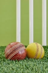 Cricket Equipment