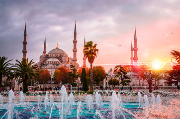 Naklejka premium The Blue Mosque, (Sultanahmet Camii) in sunset, Istanbul, Turkey