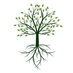 Green Tree with Roots. Vector Illustration.