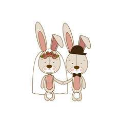 Obraz na płótnie Canvas rabbits married icon image, vector illustration design