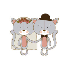 cats married icon image, vector illustration design