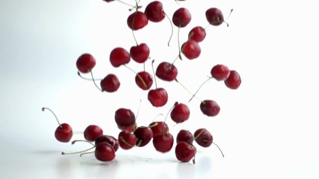 Fresh cherries falling down on white background slow motion footage