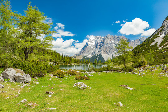 view of a green field neer seebensee in ehrwald