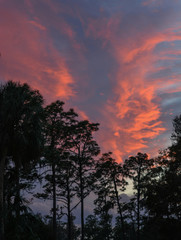 Fototapeta na wymiar Sunset over a Florida State Park