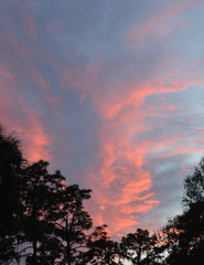 Beautiful evening at Hillsborough River State Park.