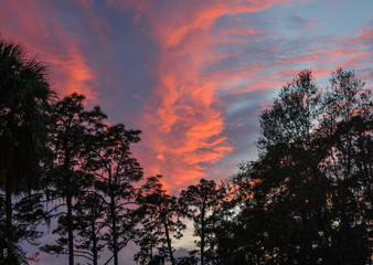 Fototapeta na wymiar Gorgeous sunset in the Florida sky.