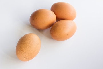 Brown egg on white background