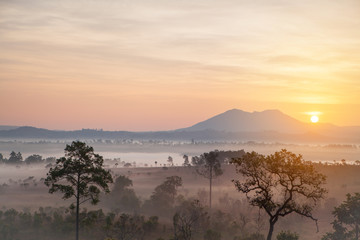 beautiful sunset in the morning