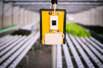 Circuit breaker in Organic hydroponic vegetable cultivation farm.