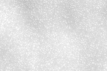White Cracked Cellular Texture