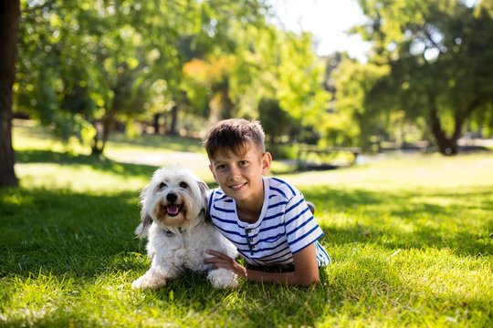 Portrait of boy with dog in park