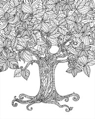 Forest tree isolated