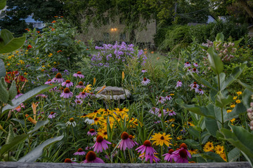 Perennials garden 