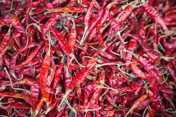 Fototapeta premium dried pepper, herbal food ingredient in Thailand.