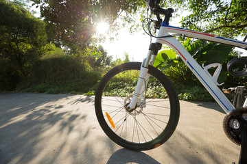 Fototapeta na wymiar riding bike on sunny forest trail
