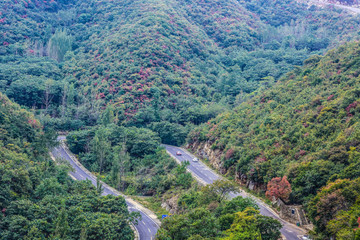 Fototapeta premium Hairpin turns in mountains with trees. Beautiful trees in summer end and autumn beginning surround the hairpin turn road.