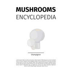Mushrooms Encyclopedia vector design. Champignon fungi illustration on white background