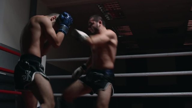 Two professional combat athletes in shorts and protective leg pads fighting on the ring
