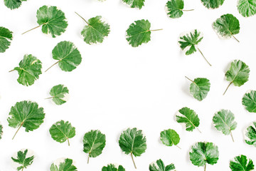 Frame wreath of green leaves on white background, Flat lay, top view. Flower background.