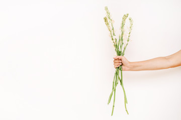 Girl's hand holding white flowers bouquet on white background. Flat lay, top view.