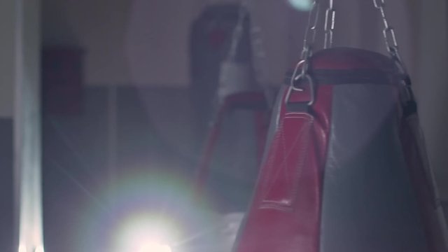 Closeup of heavy bags hanging in dark boxing gym