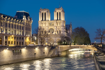 Fototapeta na wymiar Illuminated Seine river and Notre-Dame cathedral at night