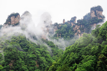 Photo of Huge Rock Mountains Surrounded by Green Trees and White Mist Clouds. Epic Mountain Landscape