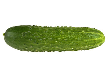 Cucumber isolated on white background