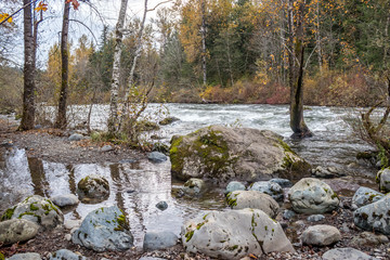 calm pools along the river edge