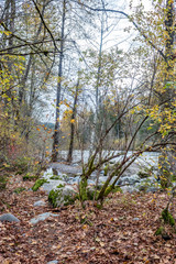 rocks along forest river in autum