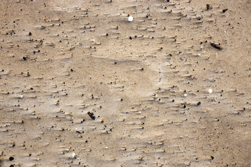 natural shapes in the sand on the beach