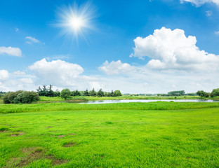 field of green grass and blue sky in summer day