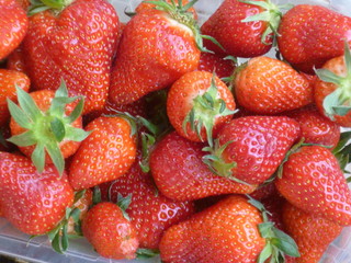 fragole