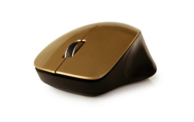 Computer mouse on a white background.