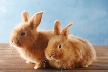 Two cute rabbits on wooden floor