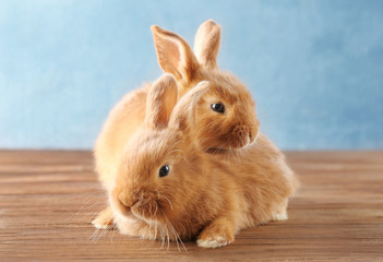 Two cute rabbits on wooden floor