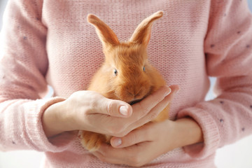 Naklejka premium Cute red bunny in female hands