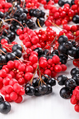 Schisandra chinensis or five-flavor berry. Aronia or chokeberry.