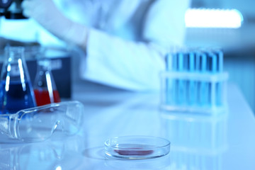 Petri dish with sample on laboratory background