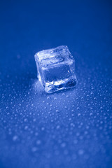 Roztapiający się lód  © Rafal Kucharek