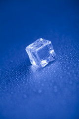 Roztapiający się lód  © Rafal Kucharek