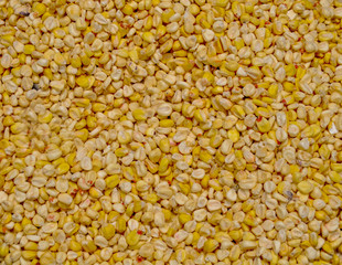 Closeup corn grains background