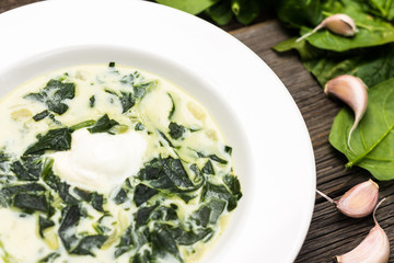 Spinach Soup Detail on White Plate with Garlic