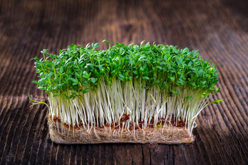 Fresh cress sprouting ready for salad