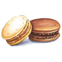 Hand drawn two chocolate macaron cakes sketch, isolated on white background. Delicious vector food design.