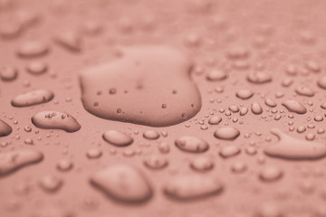 Krople wody © Rafal Kucharek