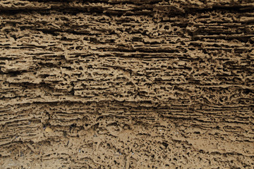 old sandstone texture by the sea