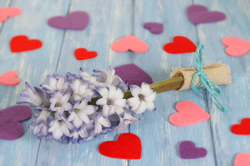 Hyacinth flower and hearts on shabby blue wooden planks in rustic style.