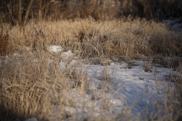 Widoki w zimie © Rafal Kucharek