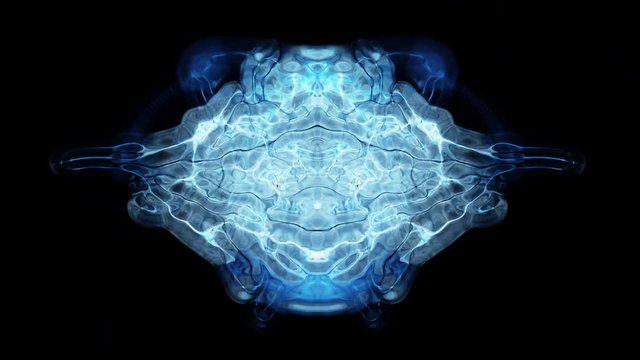 Abstract Rorschach imagery forms and flows (Video Loop).